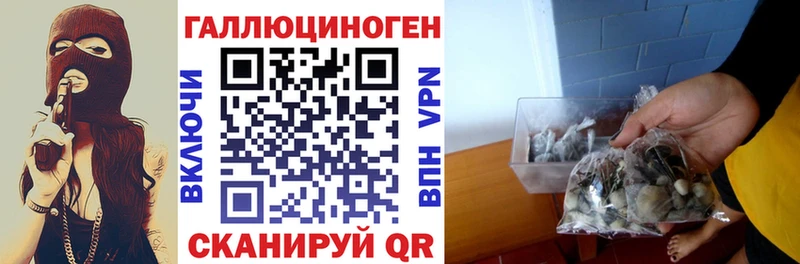 darknet формула Шелехов Галлюциногенные грибы ЛСД